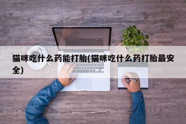 私人打胎药大月份胎停药猫咪吃什么药能打胎(猫咪吃什么药打胎最安全)