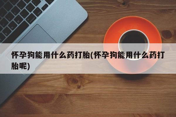私人打胎药大月份胎停药怀孕狗能用什么药打胎(怀孕狗能用什么药打胎呢)